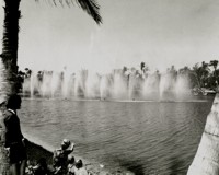 The history of BMI International
